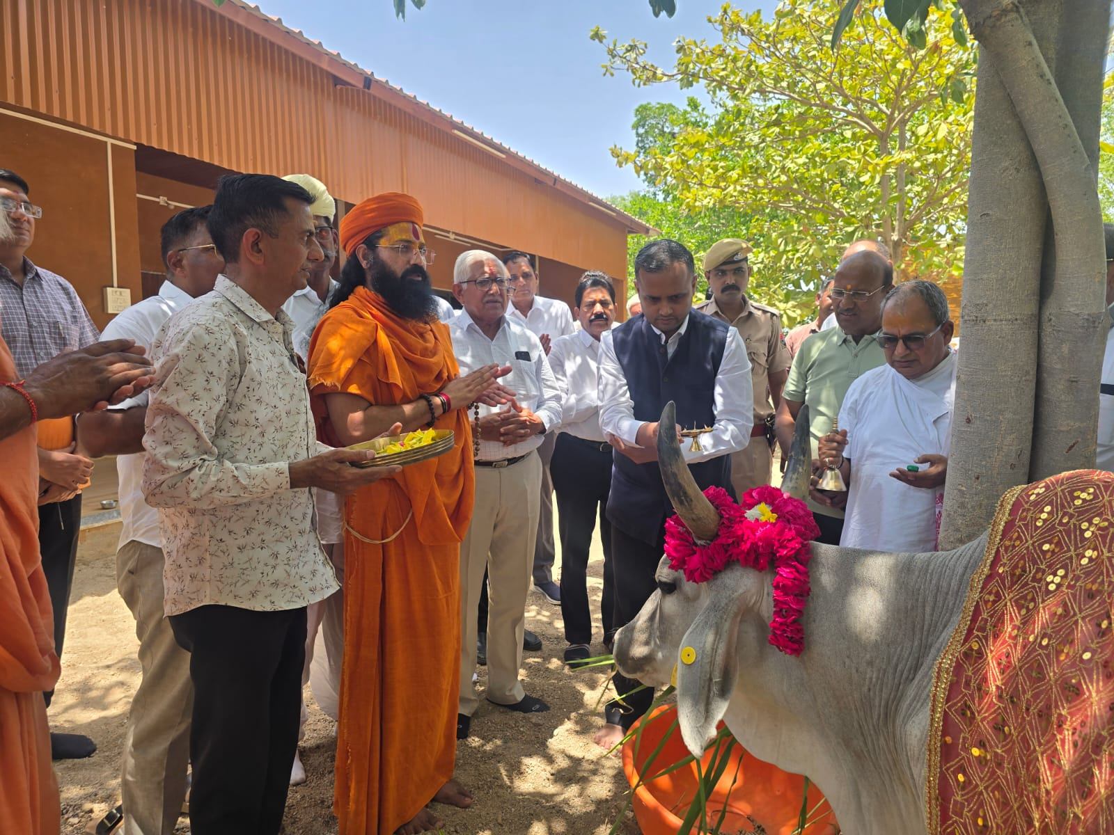 अर्बुदा गौशाला विकास को लेकर जिला कलेक्टर ने दिए अहम निर्देश