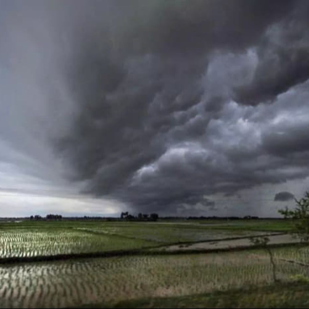 इस साल मानसून कमजोर रहेगा, अल नीनो के कारण करीब 80 सेंटीमीटर बारिश का अनुमान, सीजन के अंत में कुछ राहत संभव